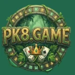 PK8 Game