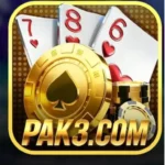 Pak3 Game