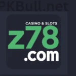 Z78 Game